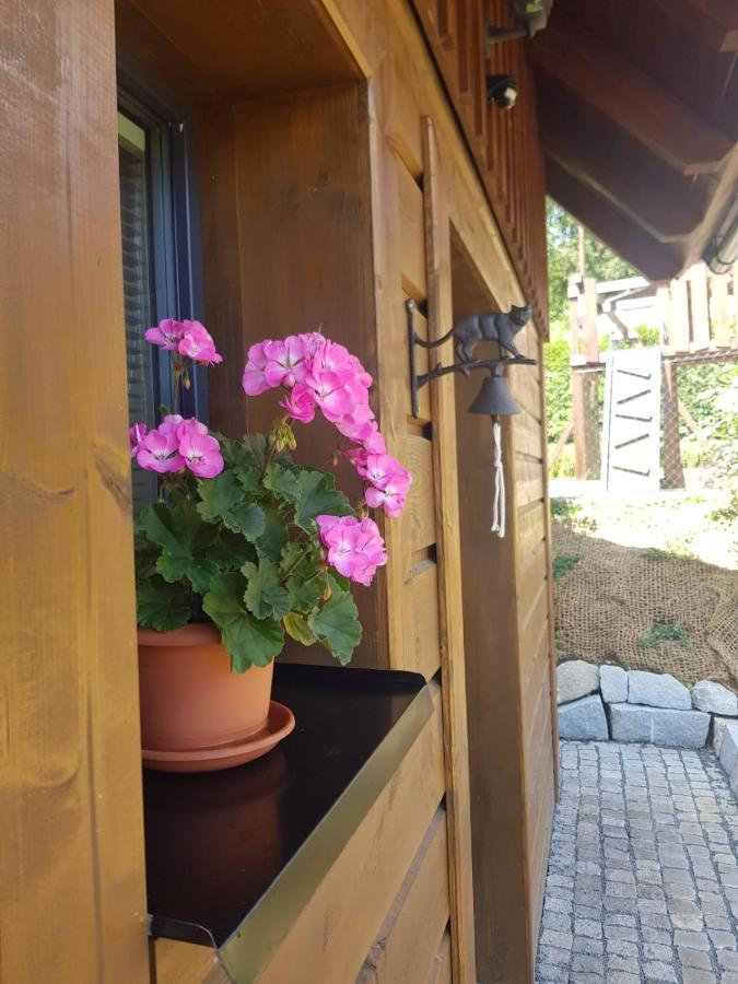Roubenka Strmá Jeseník Exterior foto